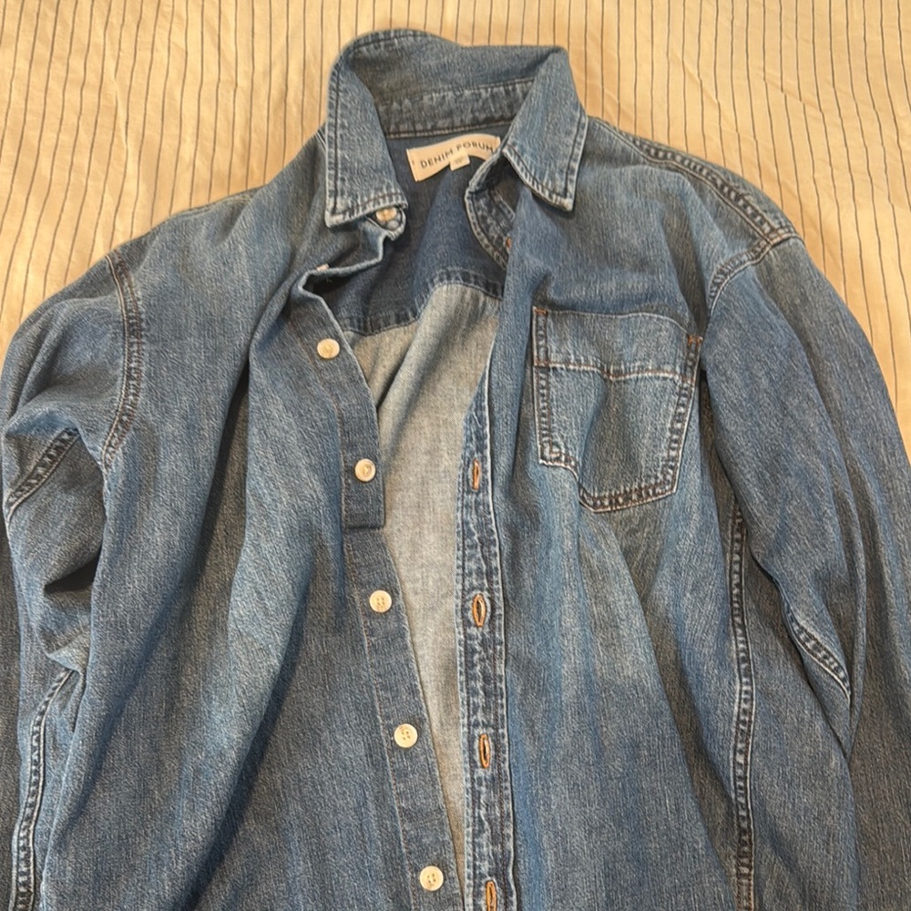 Aritzia Denim Forum Shirt